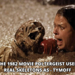 the 1982 movie poltergeist used real skeletons as - tymoff