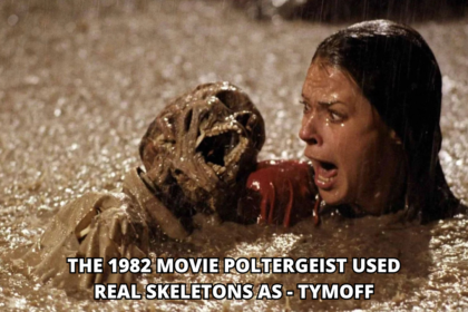 the 1982 movie poltergeist used real skeletons as - tymoff