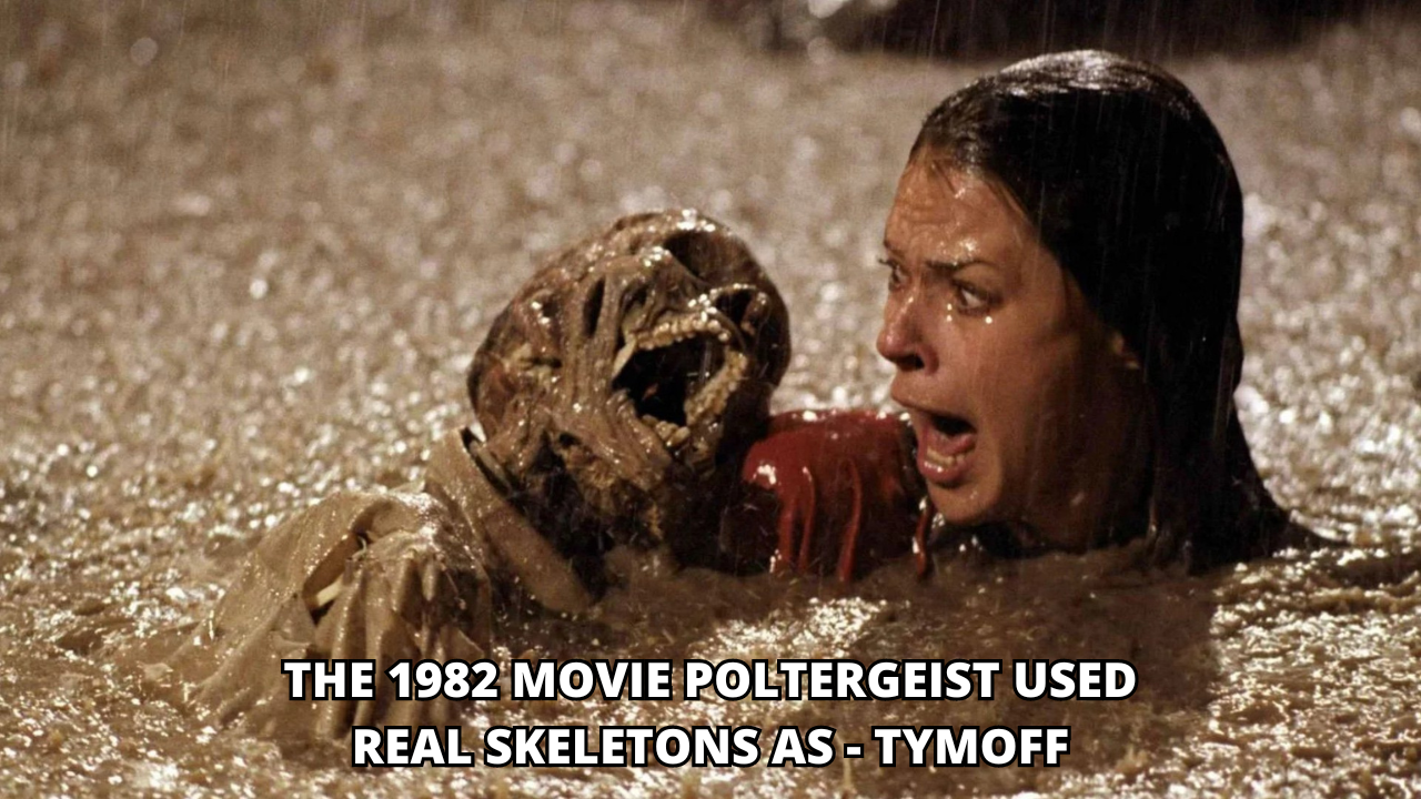 the 1982 movie poltergeist used real skeletons as - tymoff